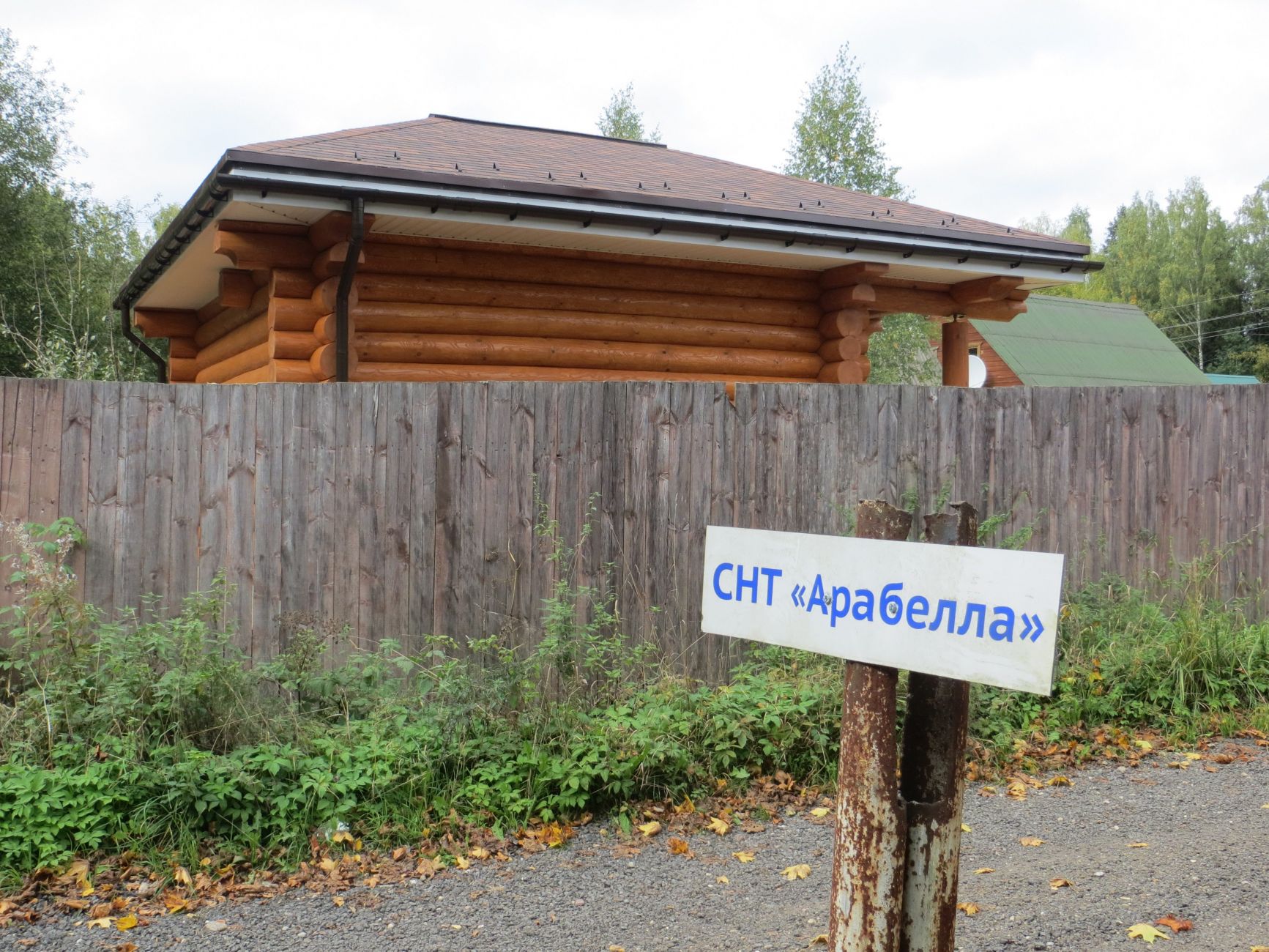 Баня, Московская область, Дмитровский городской округ, СНТ Арабелла. |  Сямженский лес